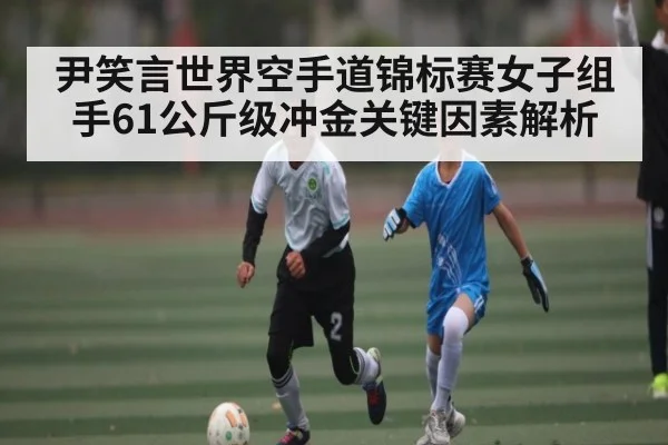 尹笑言世界空手道锦标赛女子组手61公斤级冲金关键因素解析